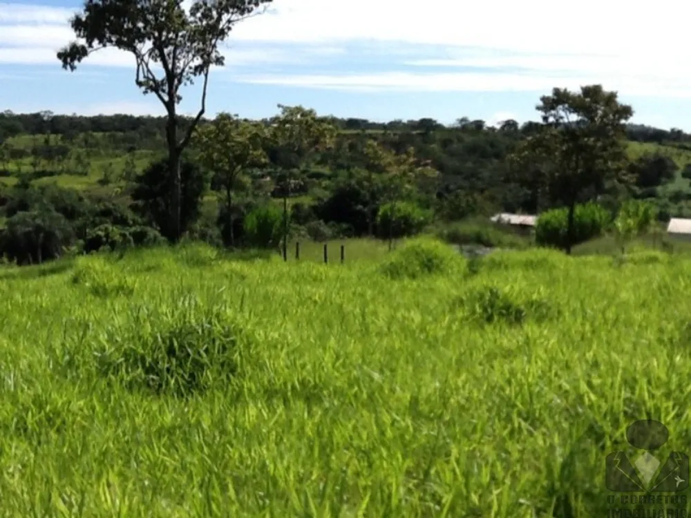 Terreno, 8 hectares - Foto 2