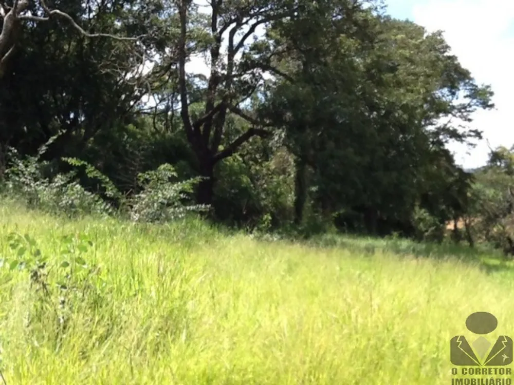 Terreno, 8 hectares - Foto 7