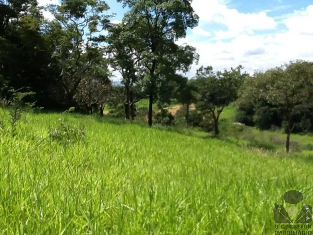 Terreno, 8 hectares - Foto 12