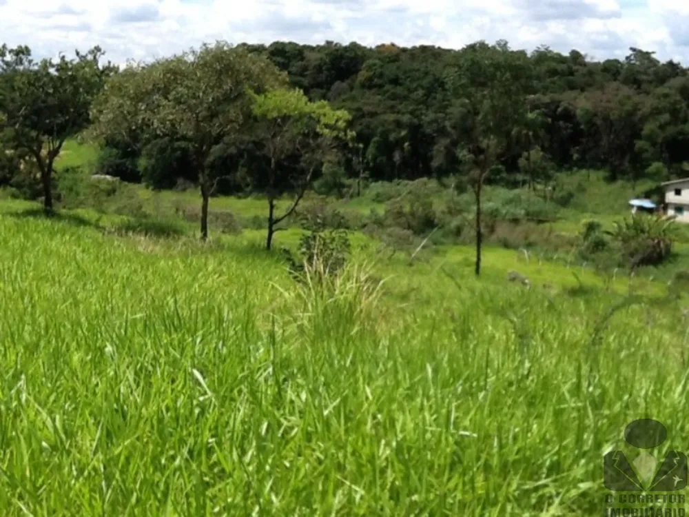 Terreno, 8 hectares - Foto 14