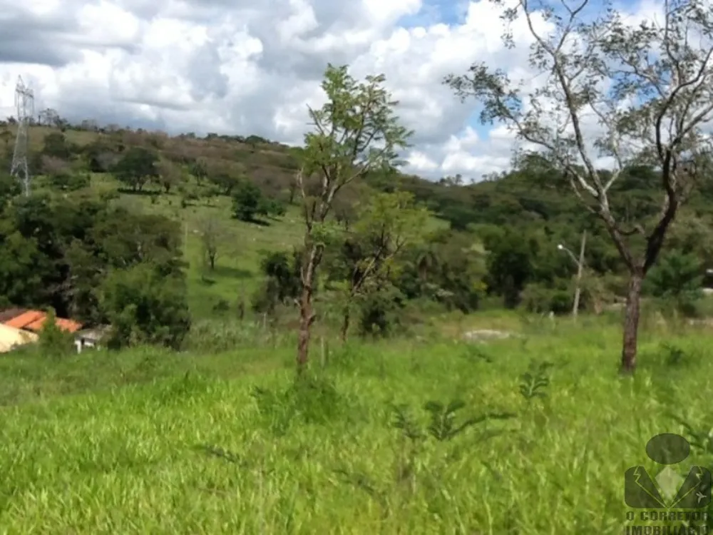 Terreno, 8 hectares - Foto 9
