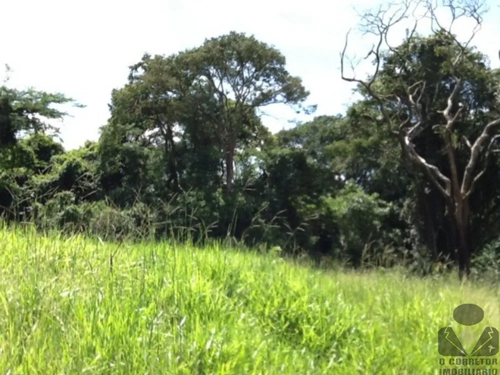 Terreno, 8 hectares - Foto 6