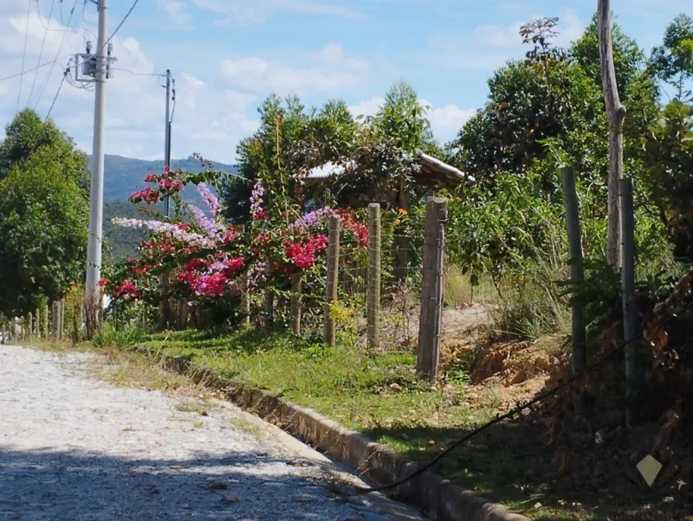 Sítio, 2 hectares - Foto 4
