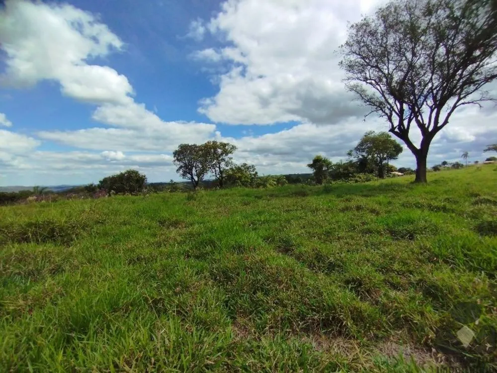 Chácara, 2 hectares - Foto 13