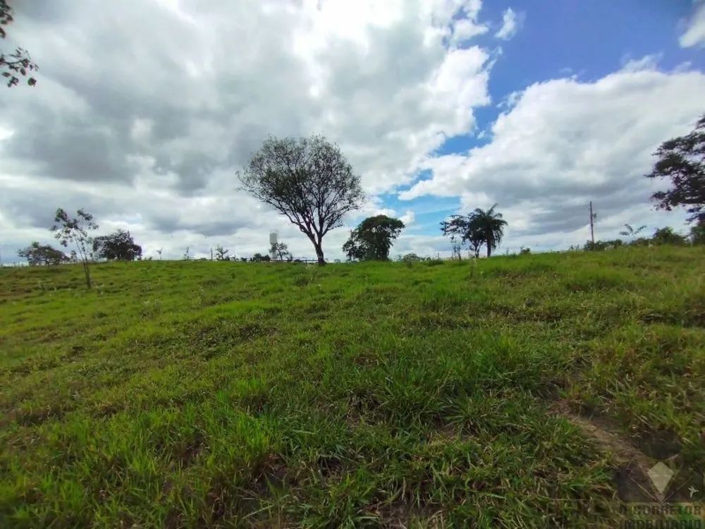 Chácara, 2 hectares - Foto 14