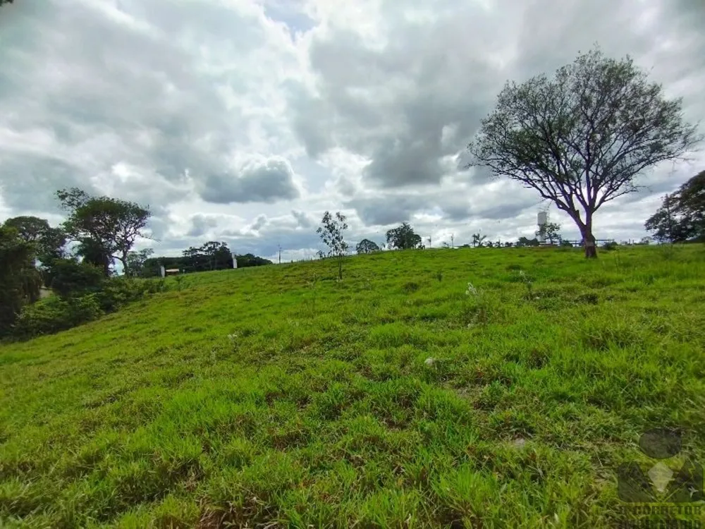 Chácara, 2 hectares - Foto 10