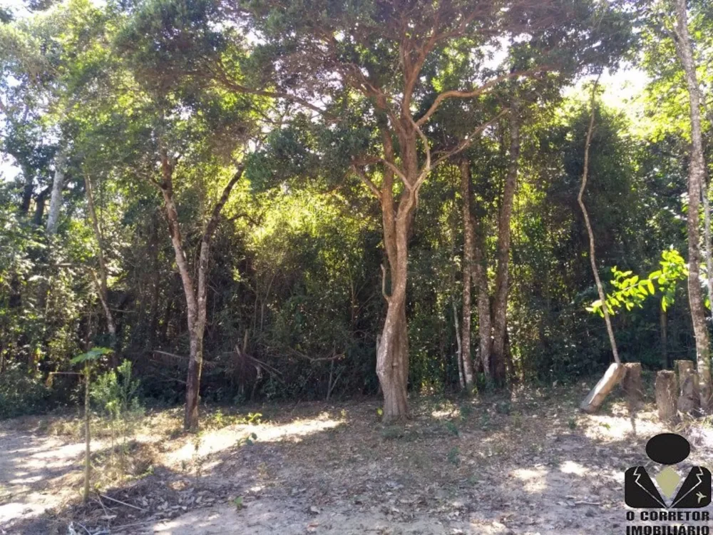 Chácara, 3 quartos, 1300 m² - Foto 11