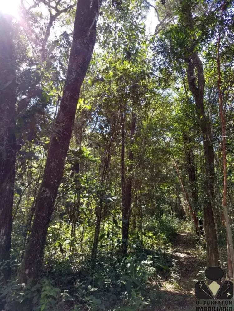 Chácara, 3 quartos, 1300 m² - Foto 15