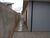 Casa, 3 quartos, 170 m² - Foto 17