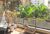 Apartamento, 3 quartos, 210 m² - Foto 1