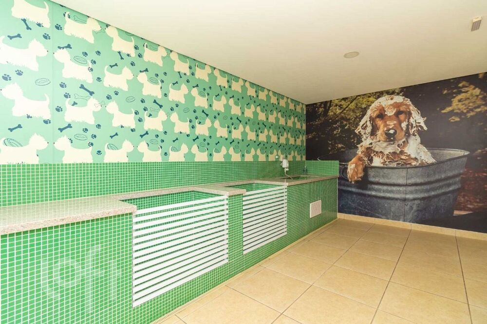 Apartamento à venda com 2 quartos, 85m² - Foto 5