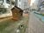 Apartamento, 2 quartos, 53 m² - Foto 4