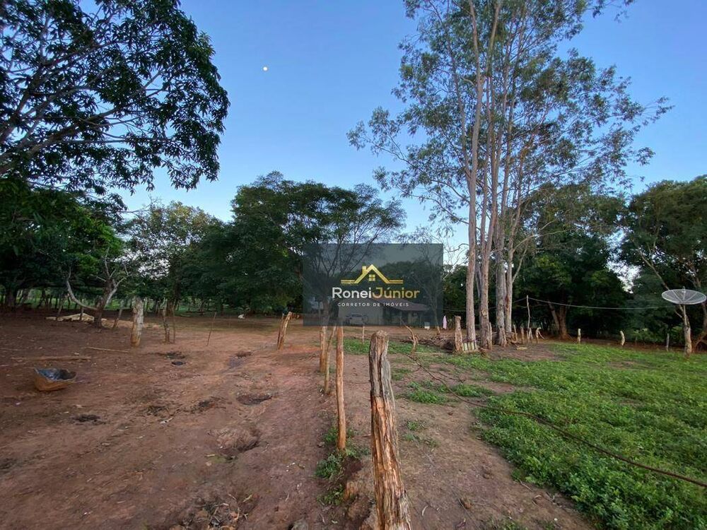 Fazenda à venda com 3 quartos, 968000M2 - Foto 3