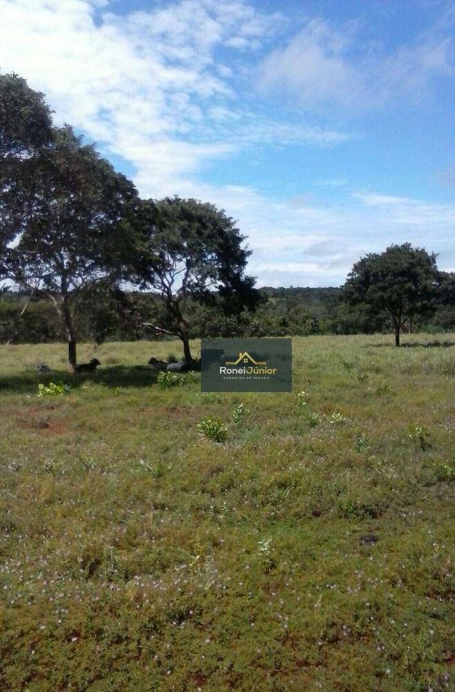 Fazenda à venda com 3 quartos, 968000M2 - Foto 6