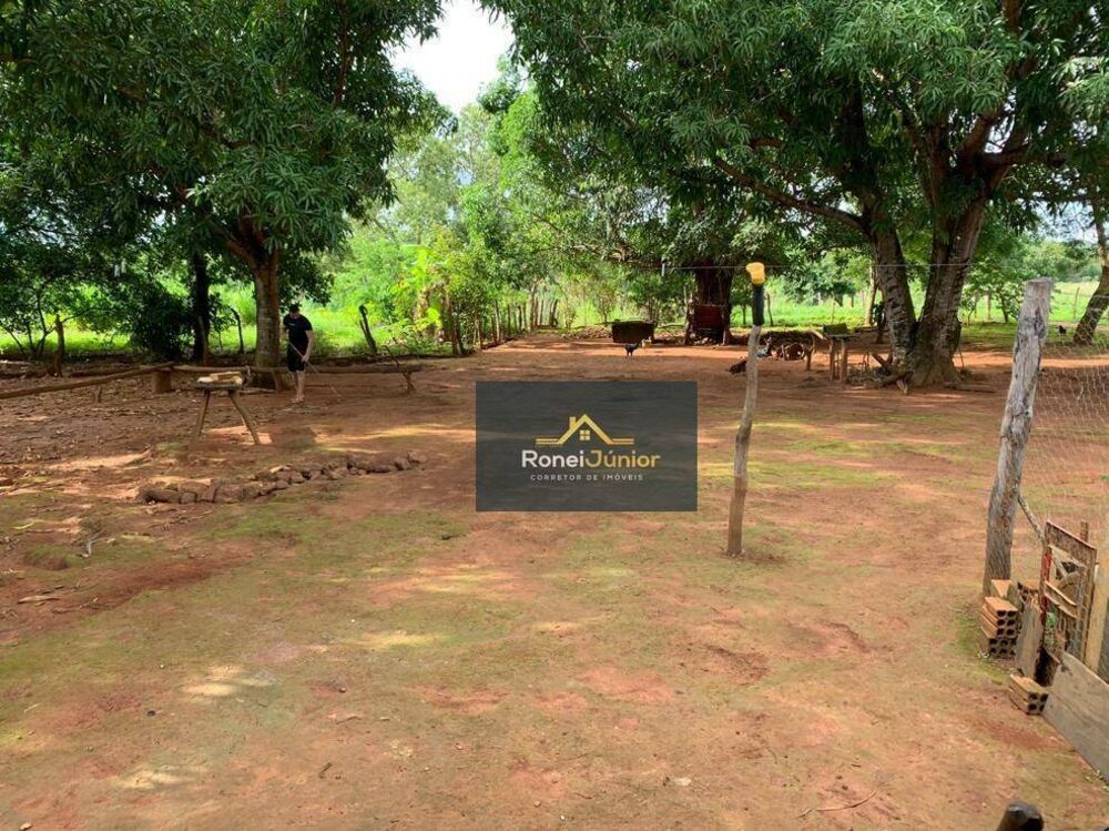 Fazenda à venda com 3 quartos, 968000M2 - Foto 2