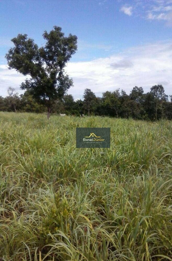 Fazenda à venda com 3 quartos, 968000M2 - Foto 13