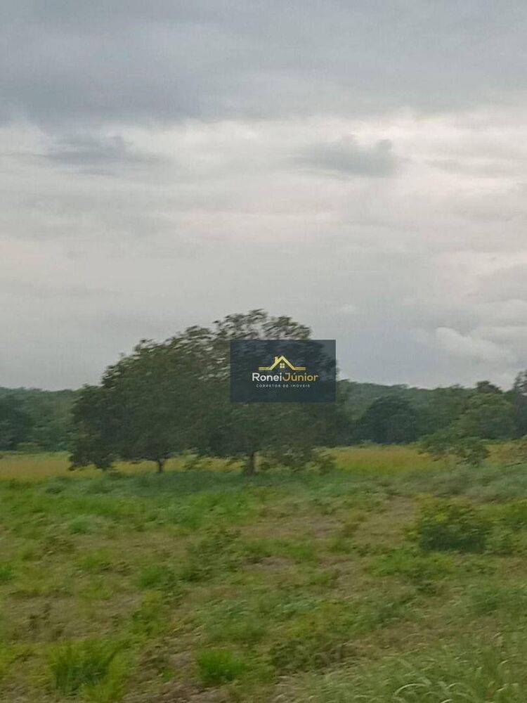 Fazenda à venda com 3 quartos, 968000M2 - Foto 8