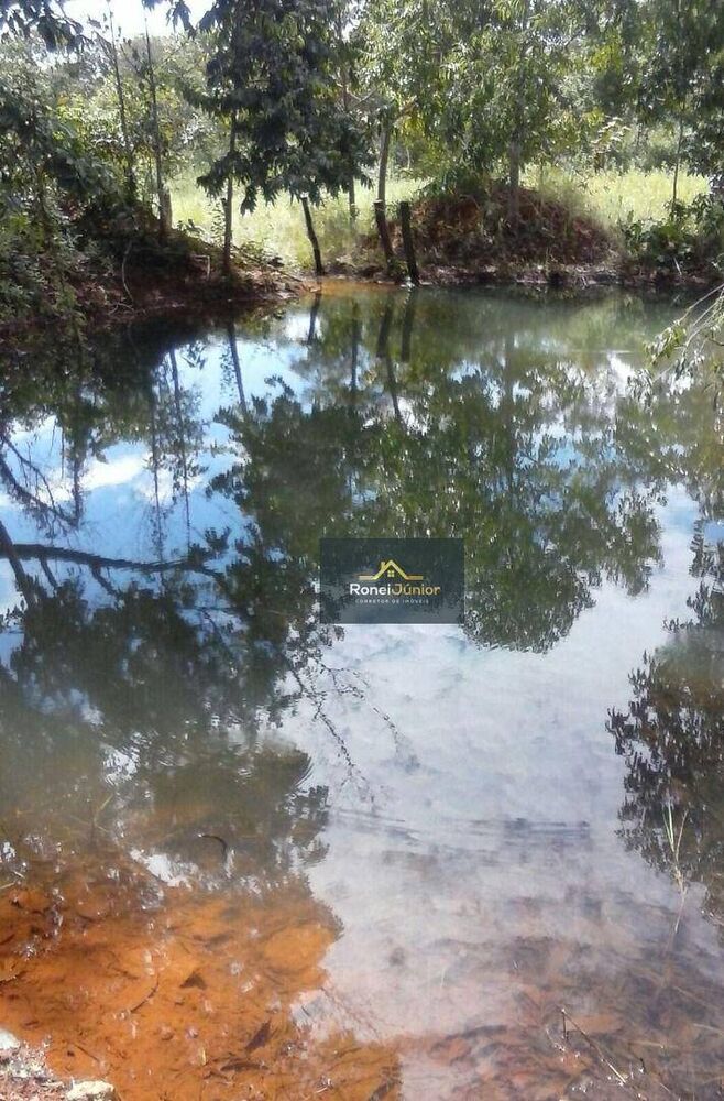 Fazenda à venda com 3 quartos, 968000M2 - Foto 12