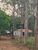 Fazenda-Sítio-Chácara, 97 hectares - Foto 10