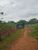 Fazenda-Sítio-Chácara, 97 hectares - Foto 7