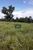 Fazenda-Sítio-Chácara, 97 hectares - Foto 13