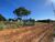 Terreno, 780 m² - Foto 6