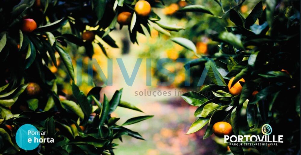 Terreno, 357 m² - Foto 22