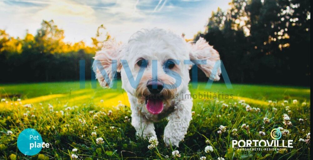 Terreno, 357 m² - Foto 23