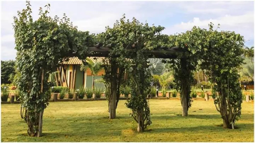 Terreno, 420 m² - Foto 5