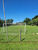 Sítio, 6 hectares - Foto 2