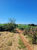 Sítio, 6 hectares - Foto 1
