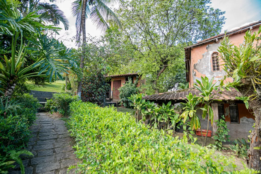 Sítio, 4 hectares - Foto 10