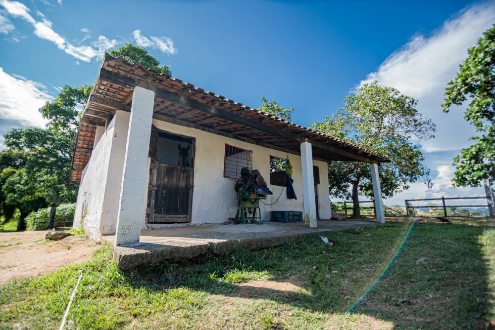 Sítio, 4 hectares - Foto 19