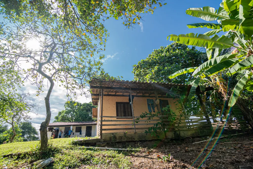 Sítio, 4 hectares - Foto 20