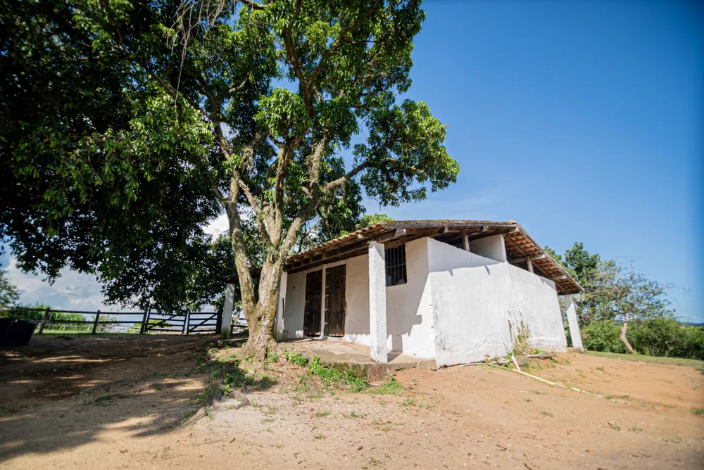 Sítio, 4 hectares - Foto 16