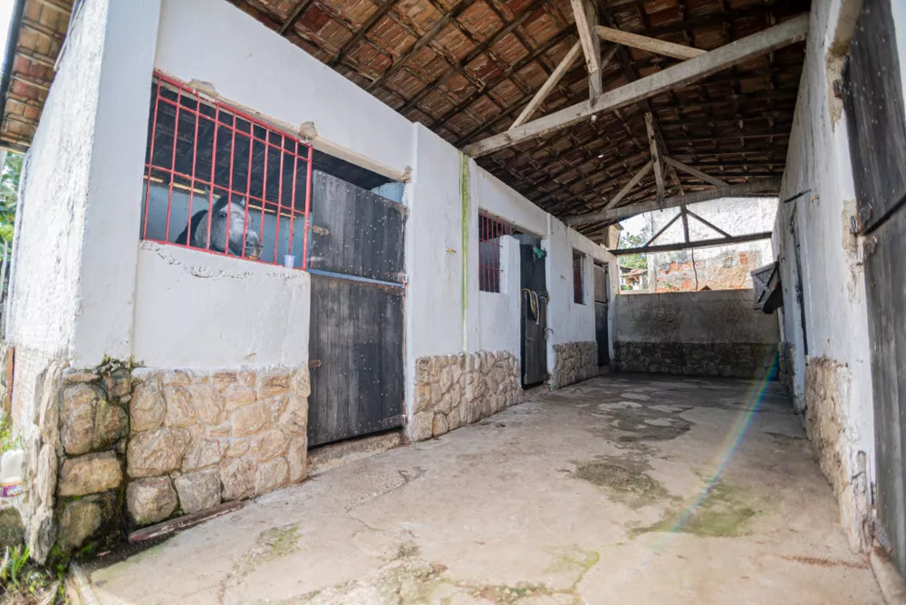 Sítio, 4 hectares - Foto 14