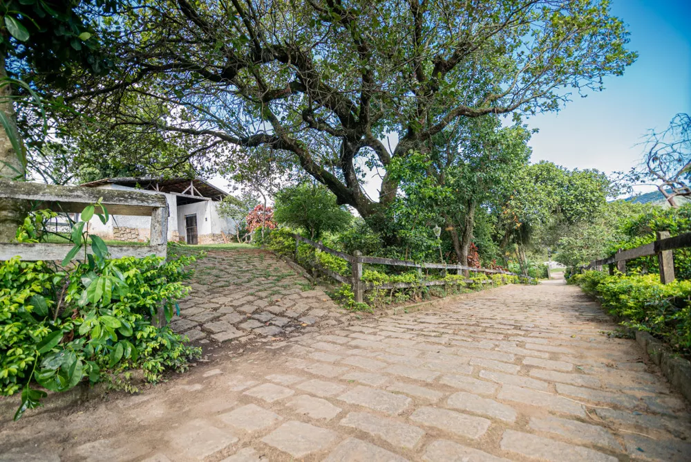 Sítio, 4 hectares - Foto 11