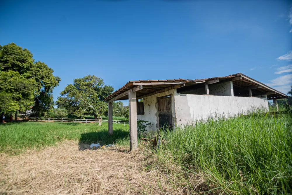 Sítio, 4 hectares - Foto 13