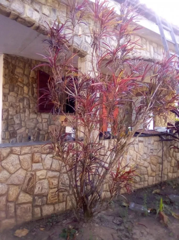 Casa, 4 quartos, 397 m² - Foto 8