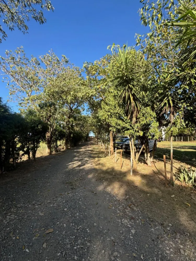 Sítio, 1 hectares - Foto 1