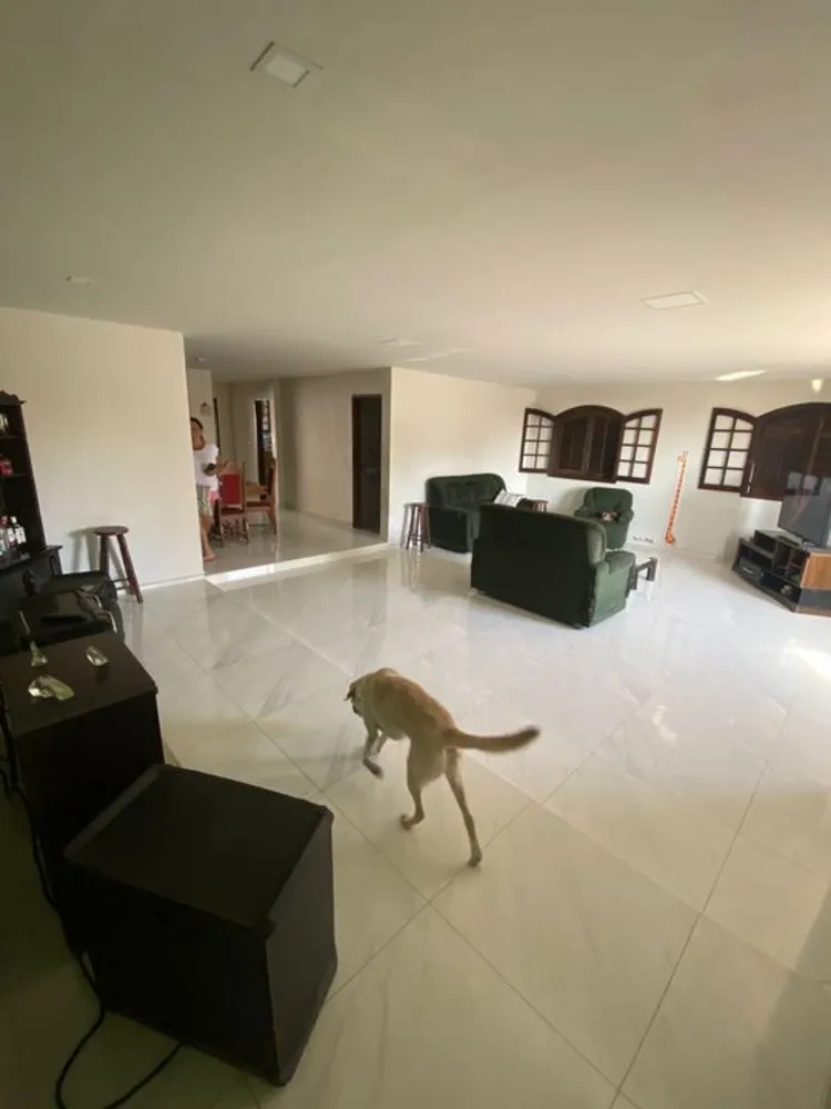 Casa, 4 quartos, 563 m² - Foto 3