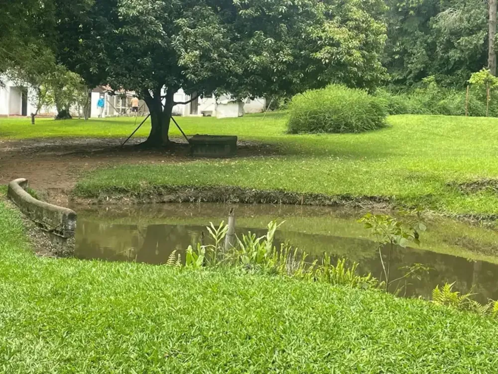 Fazenda à venda com 4 quartos, 27000m² - Foto 1