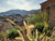 Terreno, 210 m² - Foto 3