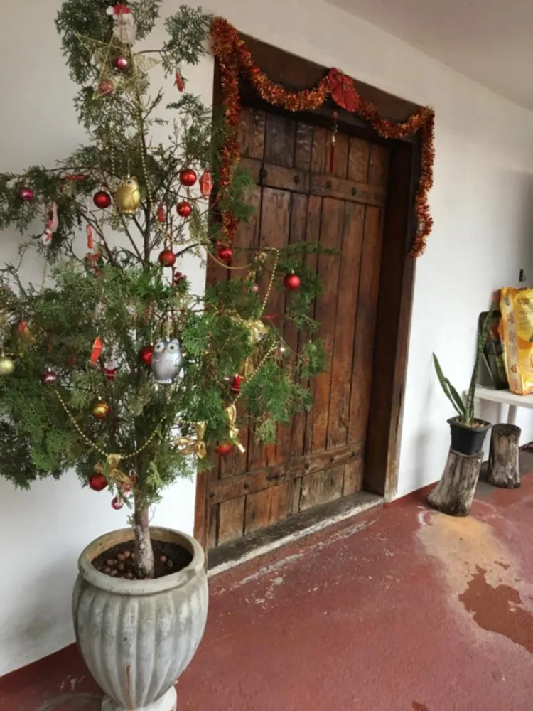 Casa, 4 quartos, 271 m² - Foto 7