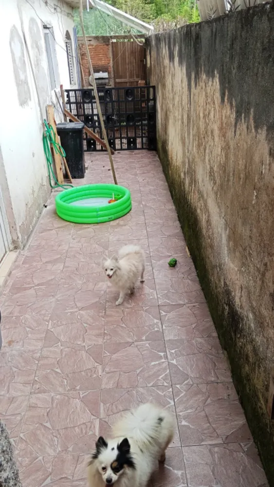 Casa, 4 quartos, 180 m² - Foto 10