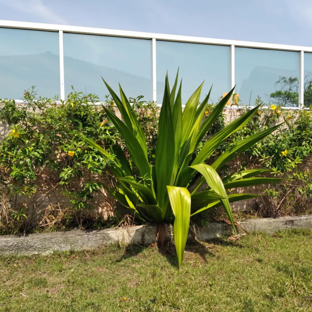 Sala-Conjunto, 450 m² - Foto 1