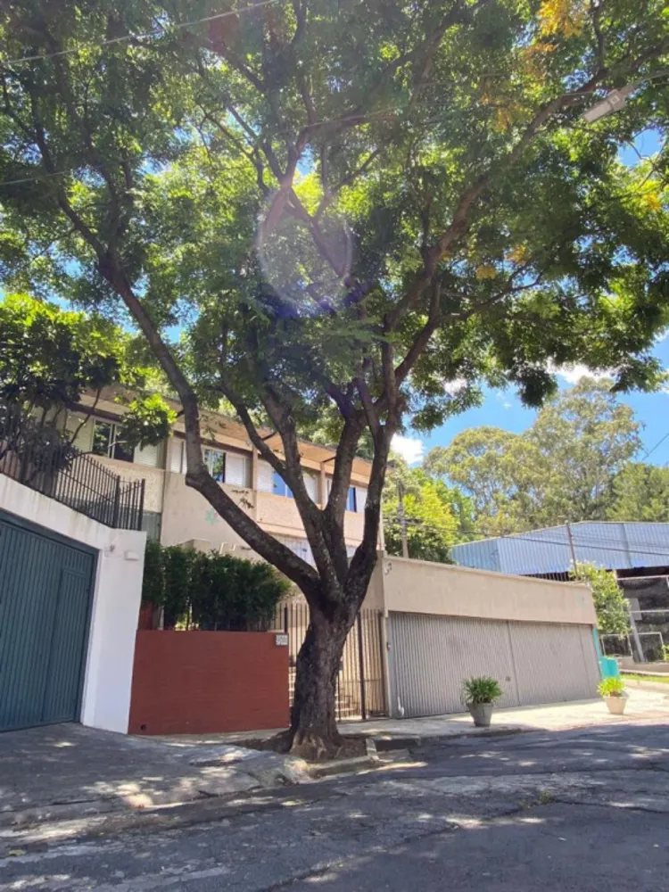 Casa, 7 quartos, 400 m² - Foto 8