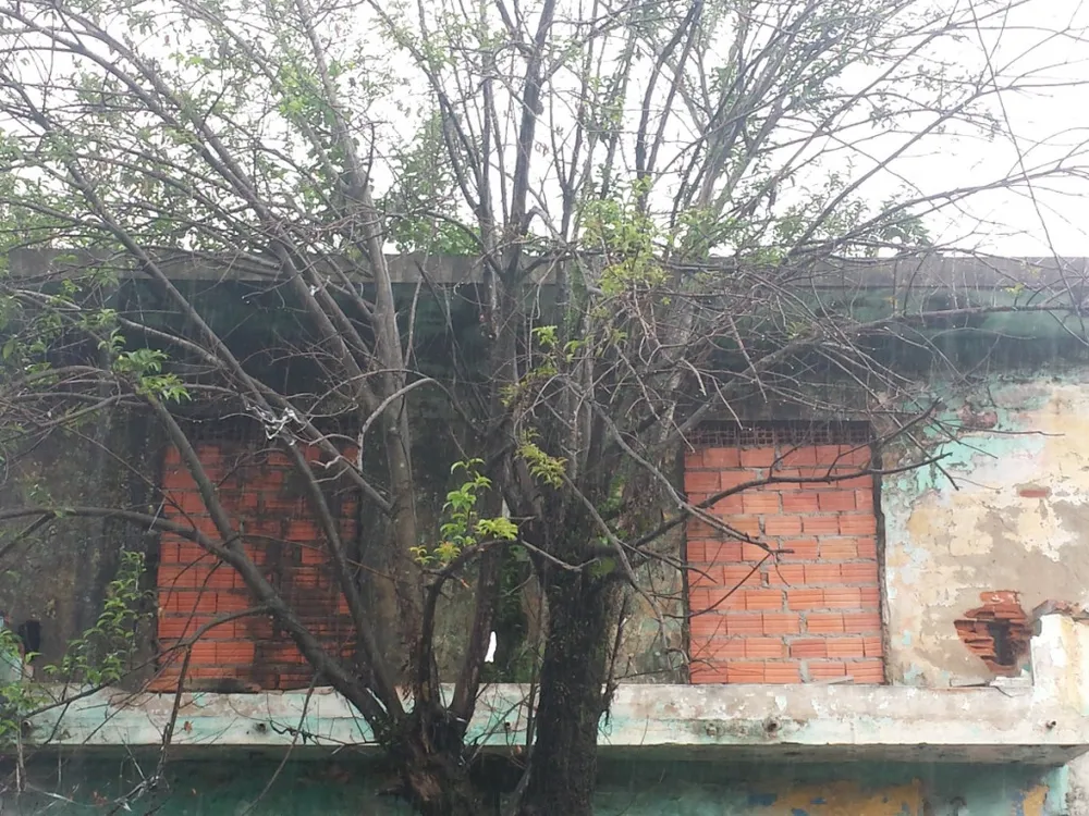 Casa - Foto 2