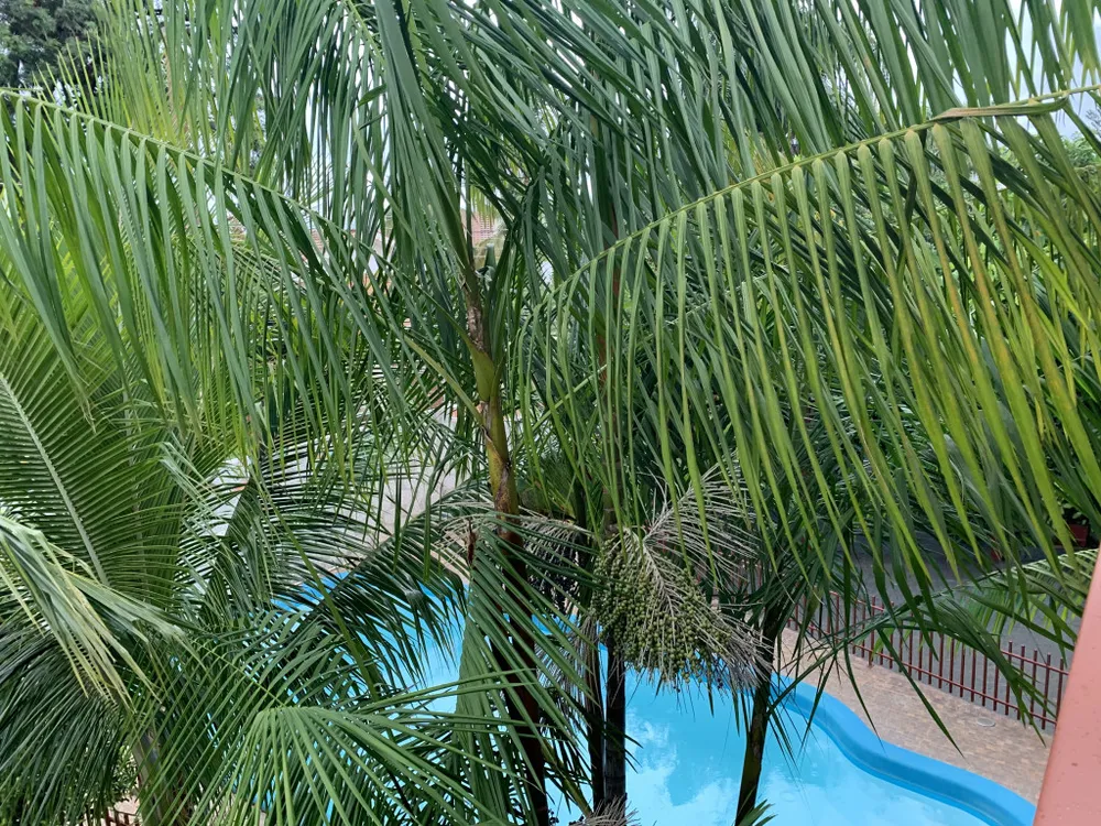 Casa, 560 m² - Foto 10