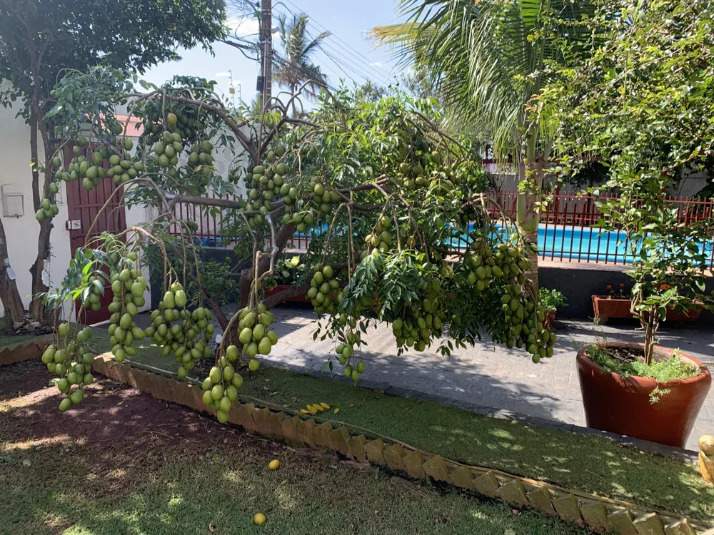 Casa, 560 m² - Foto 6